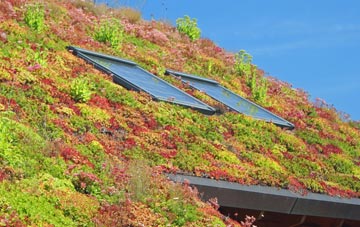 Golftyn living roof systems
