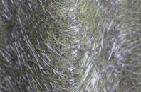 Golftyn fibreglass roof work